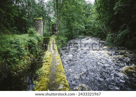Swift river in wild forest. Jungle wide river flowing fast. Speed of water. Dark grunge scary landscape. Abandoned place in nature. Exploring forsaken woods.