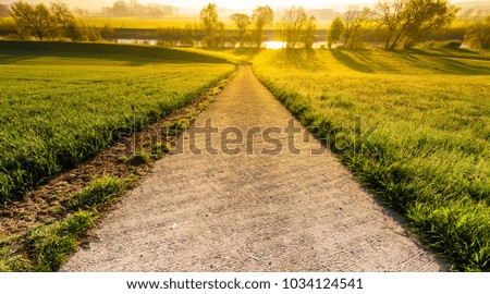 Similar – Image, Stock Photo on a meadow between two trees hangs a red hammock, under it lies a pink air mattress