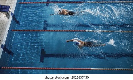 Swim Race: Two Professional Swimmers Swim In Swimming Pool, Stronger And Faster Wins. Athletes Compete The Best Wins Championship, World Record. Aerial Top Down View