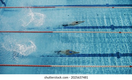 Swim Race: Two Professional Swimmers Dive In Swimming Pool, Swimming Underwater. Athletes Compete The Best Wins Championship, World Record. Aerial Top View Shot