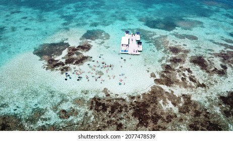 Swim With The Stingray In Antigua.