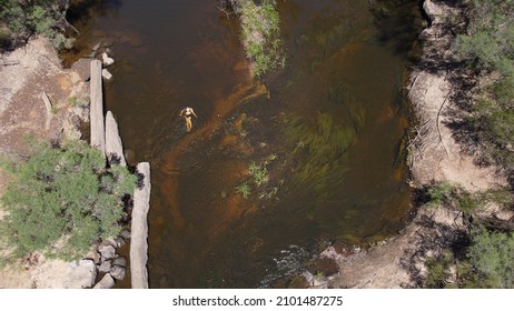 Swimmer In Blackwood River Australia