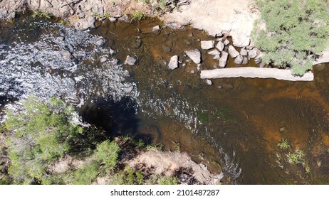 Swimmer In Blackwood River Australia