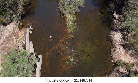 Swimmer In Blackwood River Australia