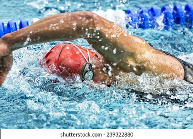 swimmer in a crawling contest