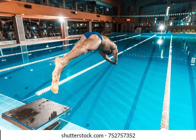 swimmer diving into competition swimming pool 