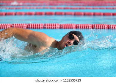 Swimmer Man Athlete Swimming In Pool Lanes Doing A Crawl Lap. Swim Race Freestyle.