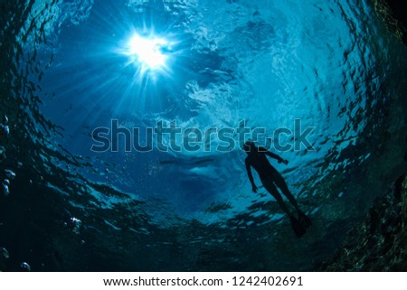 Similar – under the sea