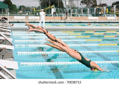 Swimmers diving