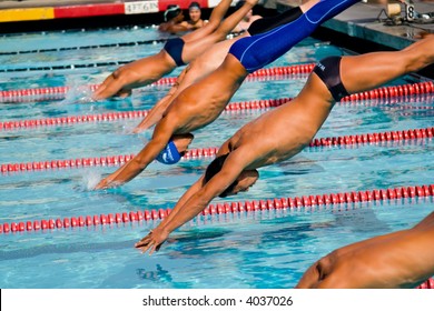 Swimmers and their competition in the pool