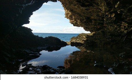 Swimming In Animal Flower Caves Of North Point, Barbados