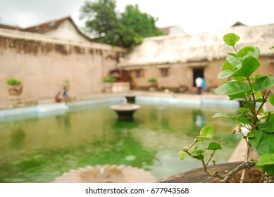 Swimming baths