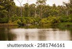 Swimming hole at Boonoo Boonoo National Park, New South Wales, Australia. 
