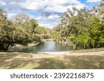 A swimming hole is one of the main attractions in Wekiwa Springs State Park in Orlando, Florida.