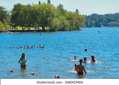 Swimming At The Lake