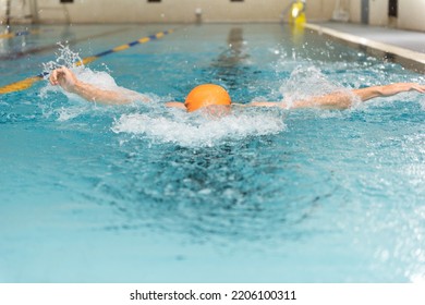 Swimming - Male Swimmer, Man In Indoor Pool