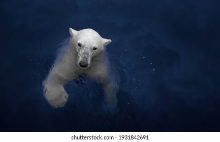 Swimming polar bear, white bear in water - Powered by Shutterstock