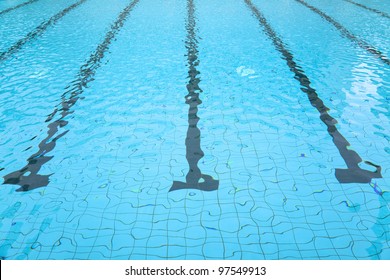 swimming pool - Powered by Shutterstock