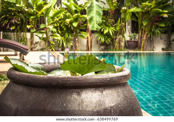 Swimming Pool Area Decoration Bowl Water Stock Photo Edit Now