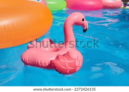 A swimming pool and a circle in the form of a flamingo. Home or hotel holidays