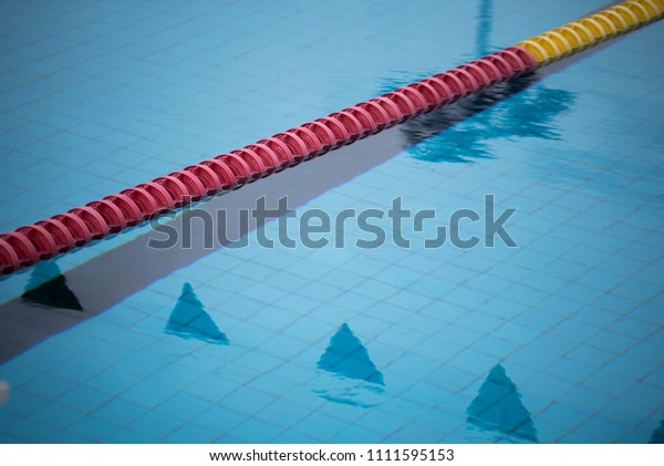 Swimming pool with\
different colors wires which are for dividing pool space to be\
lanes. Water is Blue because of Blue tiles underneath. There are\
reflections of flag and\
tree.