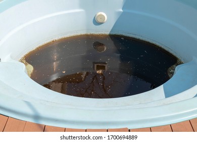 Swimming Pool With Dirty Stagnant Green Water. Swimming Pool After Winter. Pool Needs Maintenance