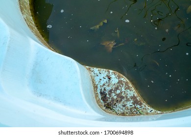 Swimming Pool With Dirty Stagnant Green Water. Swimming Pool After Winter. Pool Needs Maintenance