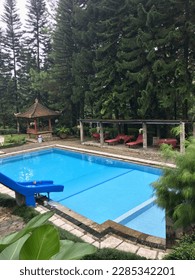 Swimming pool in forest surrounded with trees