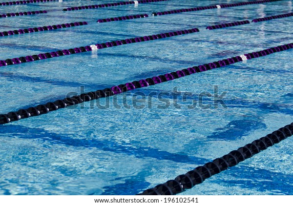 Swimming Pool with Lane\
Dividers