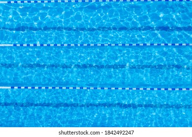 Swimming Pool With Racing Lane Dividers, Top View