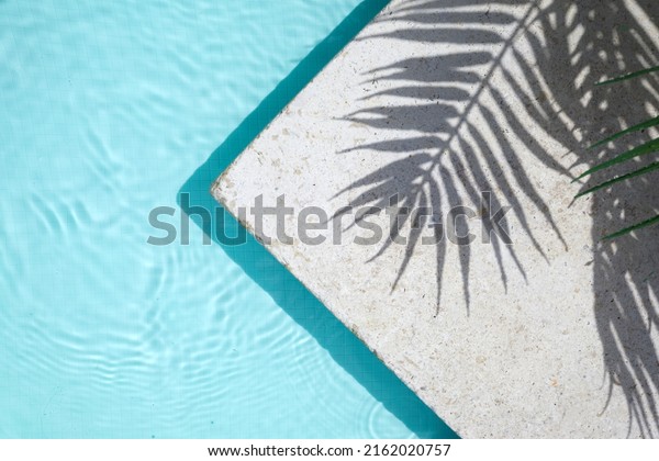 Swimming pool top view background. Water ring and\
palm shadow on travertine\
stone