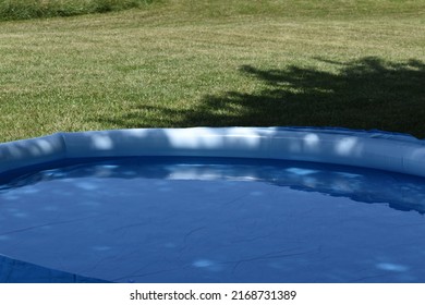 Swimming Pool In A Yard