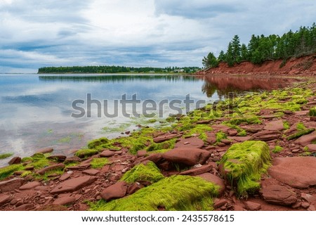 Swimming Rock - a public beach near red sandstone cliffs, on the north shore of Prince Edward Island, Canada. Calm waters. Rocky shore. Green seaweed.