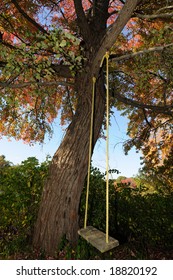 The Swing