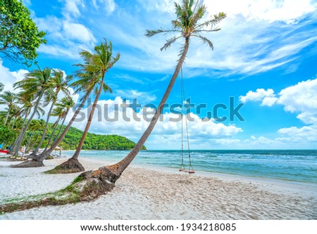 Swing attached to a palm tree in the idyllic Sao beach in Phu Quoc island, Vietnam. Sao beach is one of the best beaches of Vietnam.