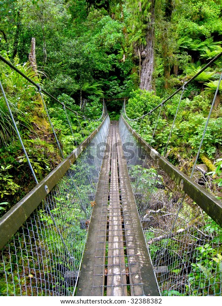 Swing Bridge New Zealand Forest Stock Photo Edit Now 32388382