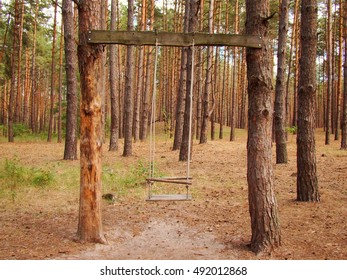 Swing in the forest