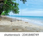 Swing hang on  tree near the sea. with beautiful beach in background on morning time.Swings at sea in horiday.
