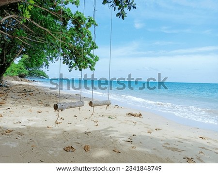 Swing hang on  tree near the sea. with beautiful beach in background on morning time.Swings at sea in horiday.