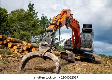 A swing loader is used to stack pine logs and for loading onto a logging truck at a forestry site. Tree removal in New Zealand - Shutterstock ID 2104062089
