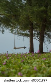 swing on the beach