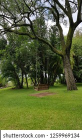 Swing in a park