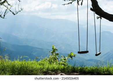 Swing Set In A Tree. El Avila, Caracas - Venezuela