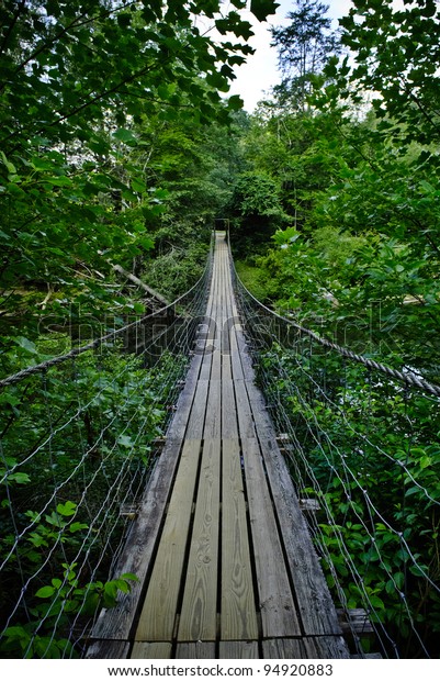 Swinging Bridge Fall Creek Falls State Stock Photo Edit Now