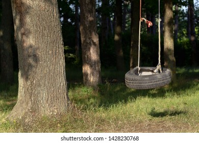 Tree Swing Billeder Lagerfotos Og Vektorer Shutterstock