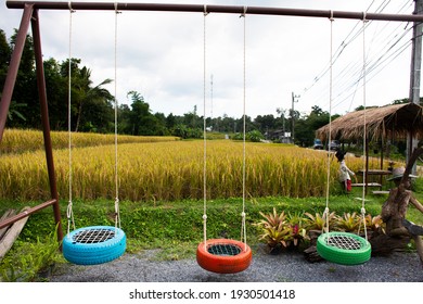 Swings toy DIY handmade in farmland of paddy or rice field in countryside at Baan Huay Kaew village rural at Mae On city in Chiang Mai, Thailand