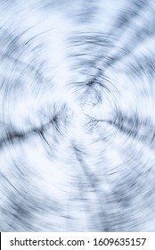 Swirl Tree Peaks Against The Sky. Defocused Trees Vertigo. Leafless Trees And Branches In Dizzy Vertigo. Abstract Nature Backdrop.