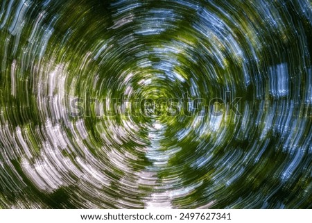 Swirling Patterns of Nature A Dynamic Perspective that Captivates the Imagination Easily