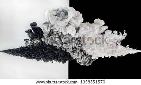 Swirls of ink in the water. Black and white paint is mixed in the water close-up. Collision of paint clouds