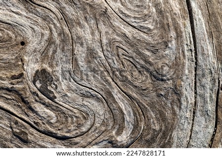 Swirly patterns on weathered piece of driftwood